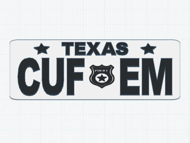 License Plate_Texas