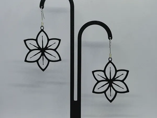 https://makerworld.bblmw.com/makerworld/model/USc0efe81dd25c89/design/2025-07-01_5ec1ec49168f88.jpg