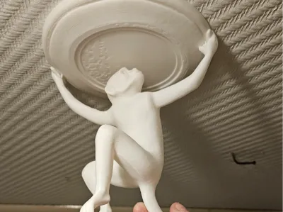 Monkey ceiling box cover