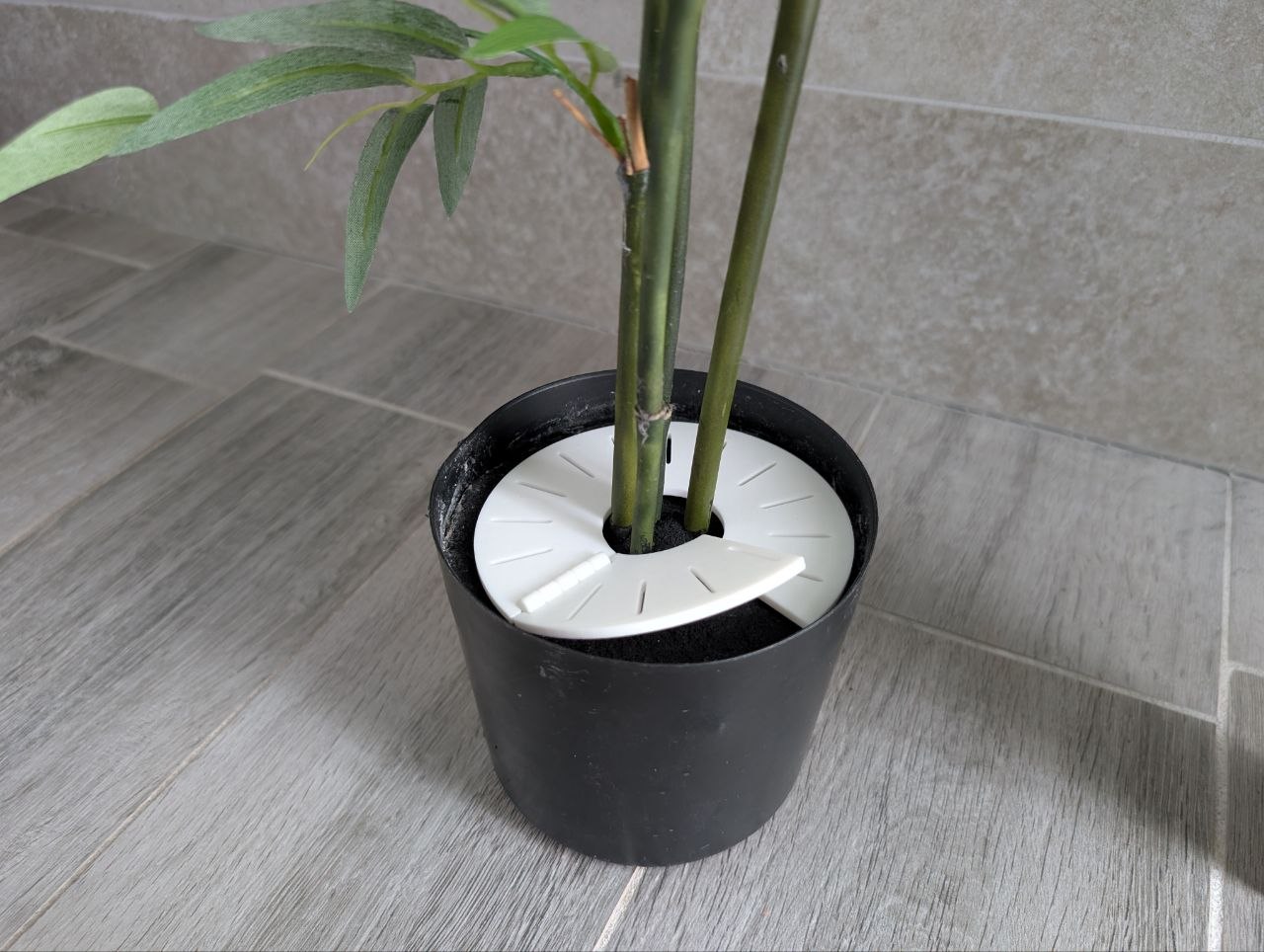 Plant Soil Guard: Insect & Cat Soil Protector - 1