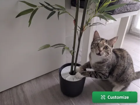 Modelo para impresión 3D: Parametric Plant Soil Guard - Pest & Cat Shield — referencia de MakerWorld