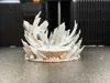 Display Base Only