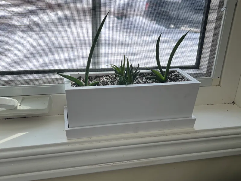 Window Sill Planter with Hidden Dividers