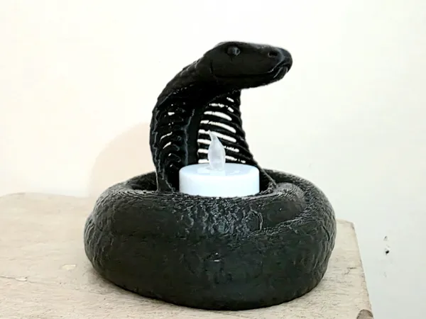 https://makerworld.bblmw.com/makerworld/model/USc0f963d627eea3/design/2025-11-19_08515b882423e.jpg