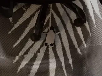 Big penguin