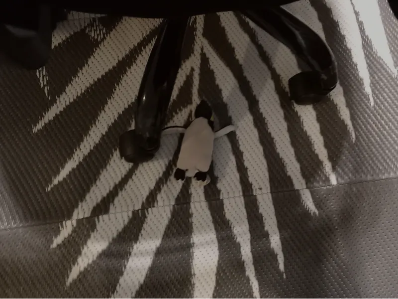 Big penguin