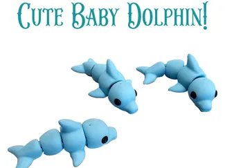 Baby Dolphin
