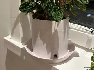 Plant pod