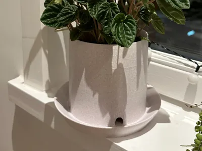Plant pod