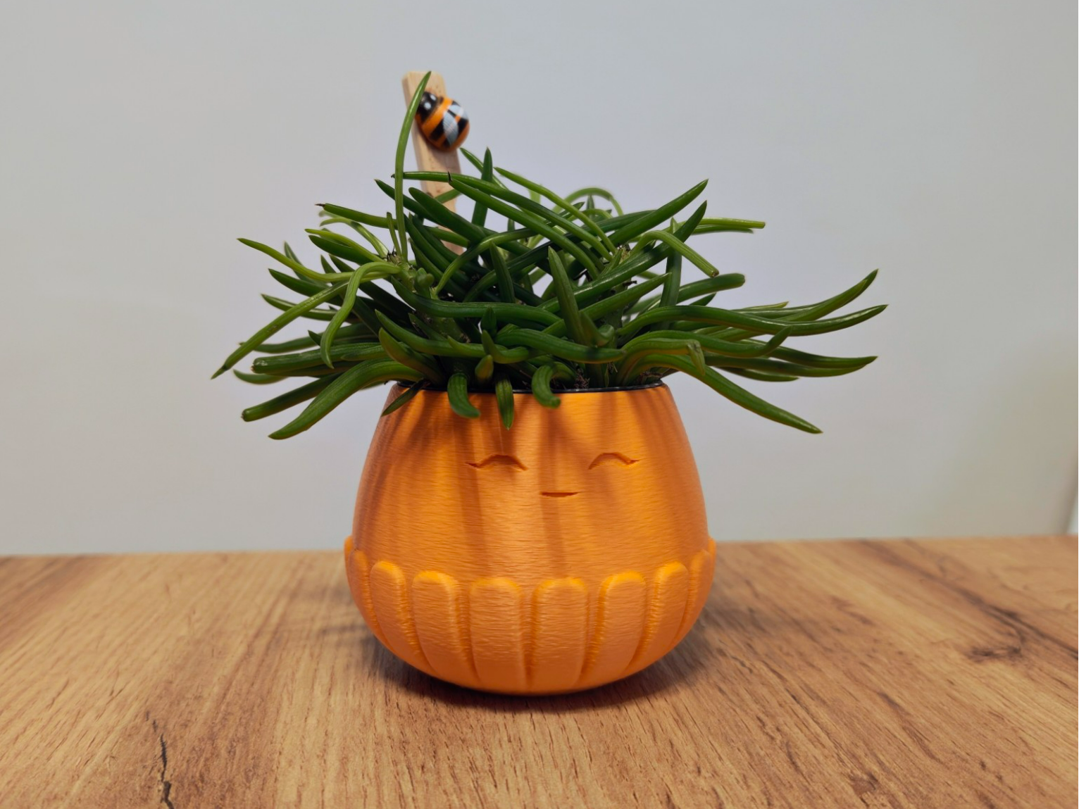 MORI - Vasetto decorativo per piantine