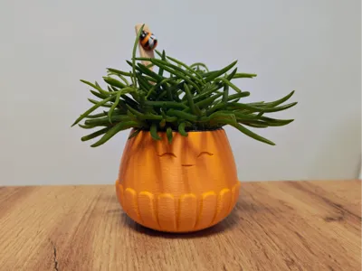 MORI - Decorative Planter for Small Plants