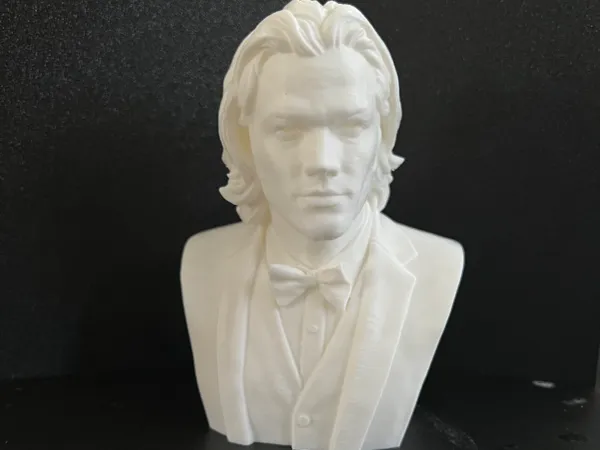 https://makerworld.bblmw.com/makerworld/model/USc113041235e628/design/a38f96bf6d62bd9c.jpeg