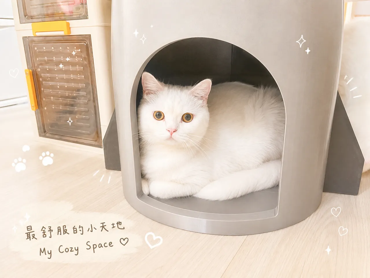 Starship 星艦造型貓窩｜680mm大型貓屋｜可開蓋零食收納 view 3