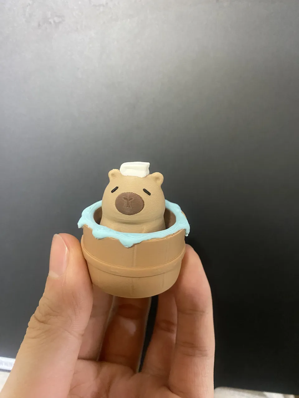 Capybara clicker view 2