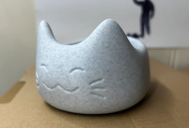 Cute Cat Bowl - More Space and Less Nose