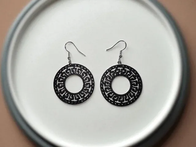 Elegant circle earrings