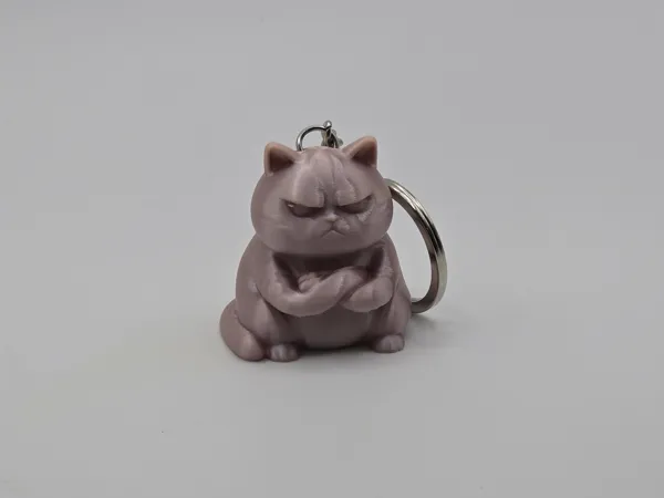 https://makerworld.bblmw.com/makerworld/model/USc11e447421b81d/design/2025-06-08_zca9p7encse2.jpg