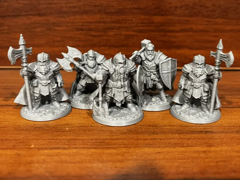 D&D Dwarf Guard Set