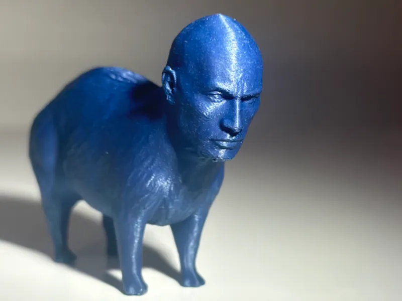RockyBara - Capybara with Rock's Head