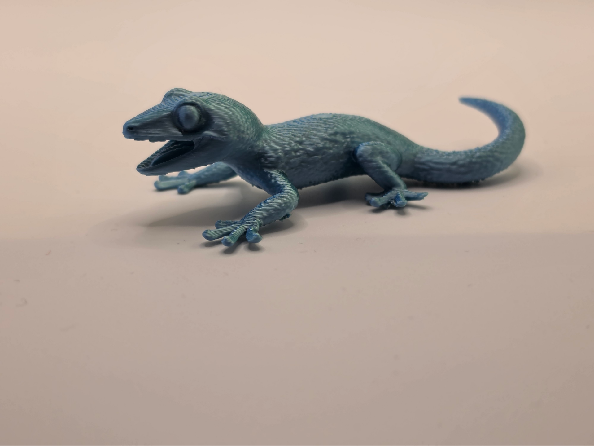 Tokay Gecko  Realistic Lizard Tiere aus aller Welt