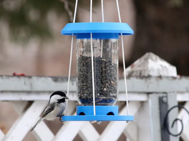 Bird Feeder Single Head Raos 770ml Jar