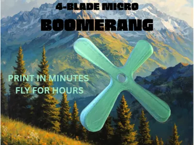 Micro Boomerang – Indoor & Outdoor