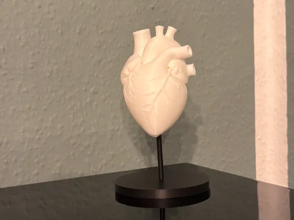 https://makerworld.bblmw.com/makerworld/model/USc13e99afda9da6/design/b02d8c99299765de.jpeg