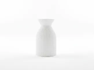 elegant Vase
