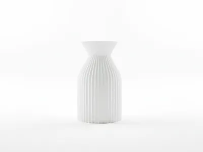 elegant Vase