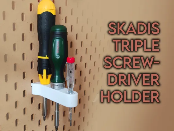 https://makerworld.bblmw.com/makerworld/model/USc13fb1098d7bf9/design/2024-08-30_abb0e6de81edc.png