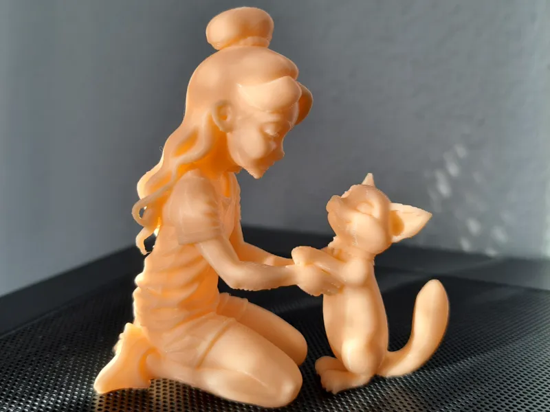 Affectionate Moment – Girl Petting a Standing Cat