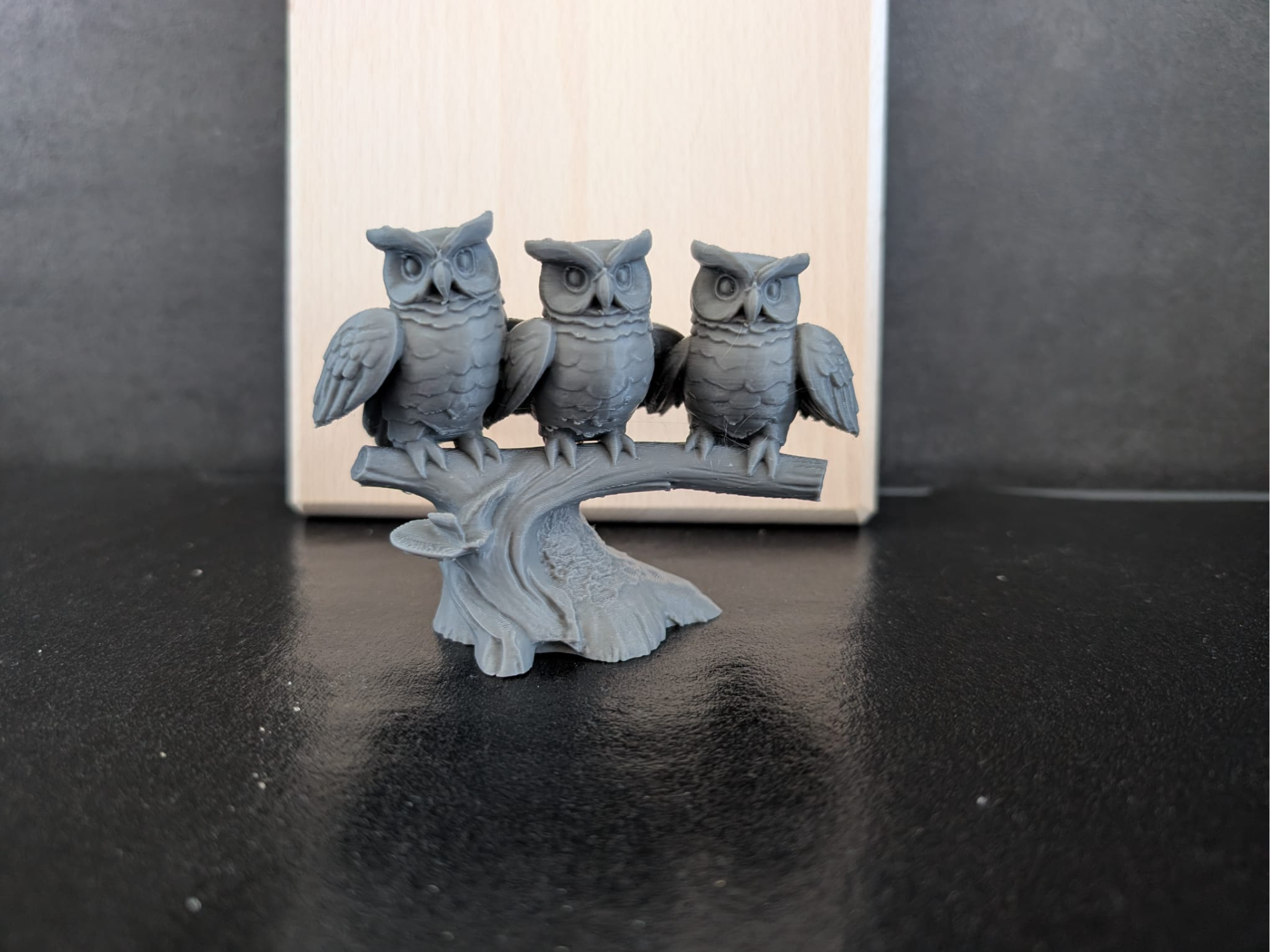 three owls on a branch