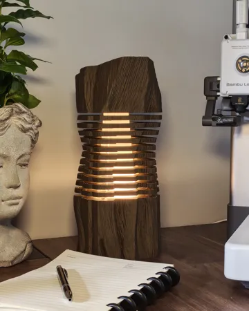 Accesorio de iluminación decorativa: Emberwood Desk Lamp — vista de referencia 5