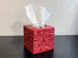 Tissue Box Triangle Pattern - Who Gives A Crap