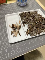 0.28mm 层高, 2 层墙, 15% 填充