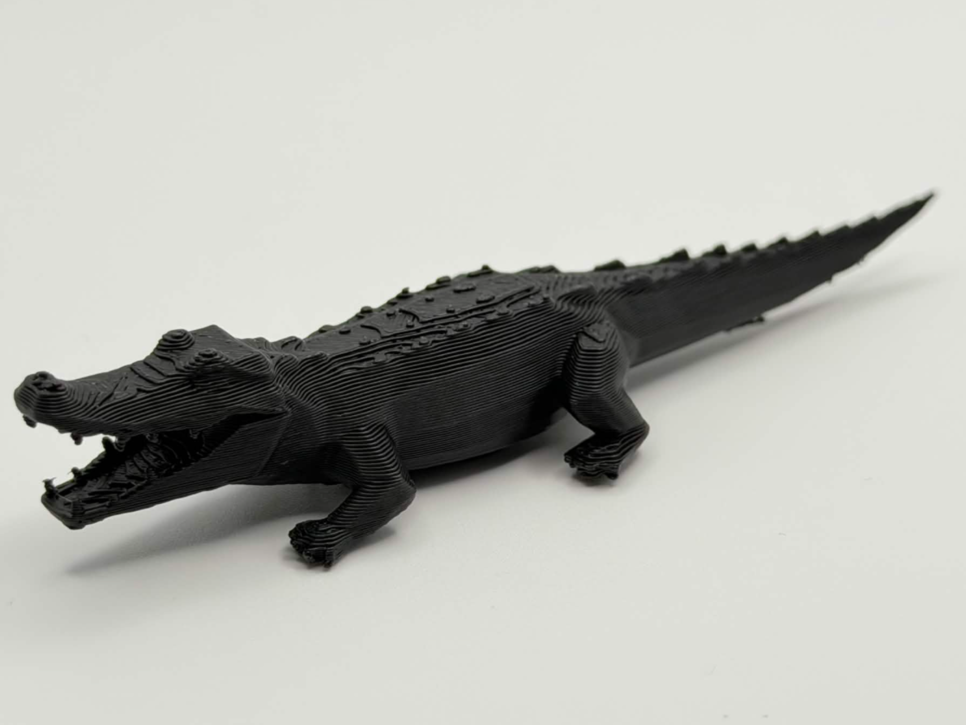 Hungry Crocodile