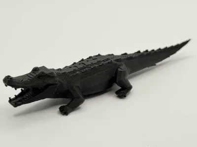 Hungry Crocodile