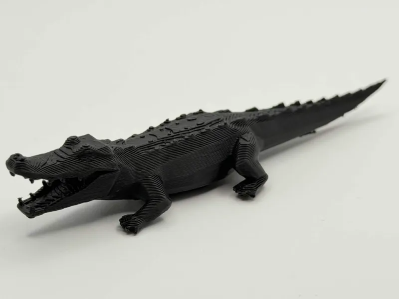 Hungry Crocodile