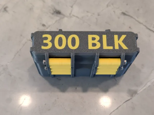 https://makerworld.bblmw.com/makerworld/model/USc15a68f62a63db/design/2025-03-10_bb42487aae38.jpg
