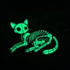 Cat 2 (set 2)