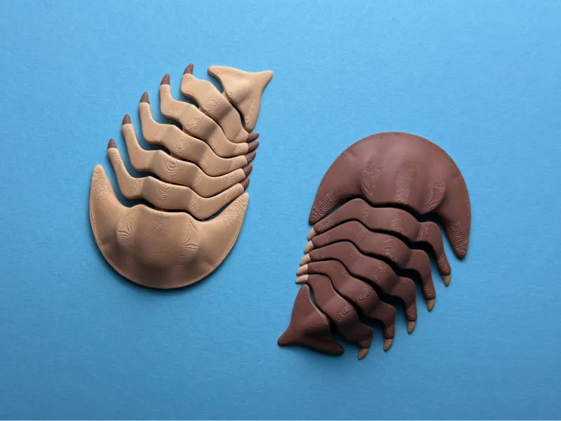 Articulated Trilobite
