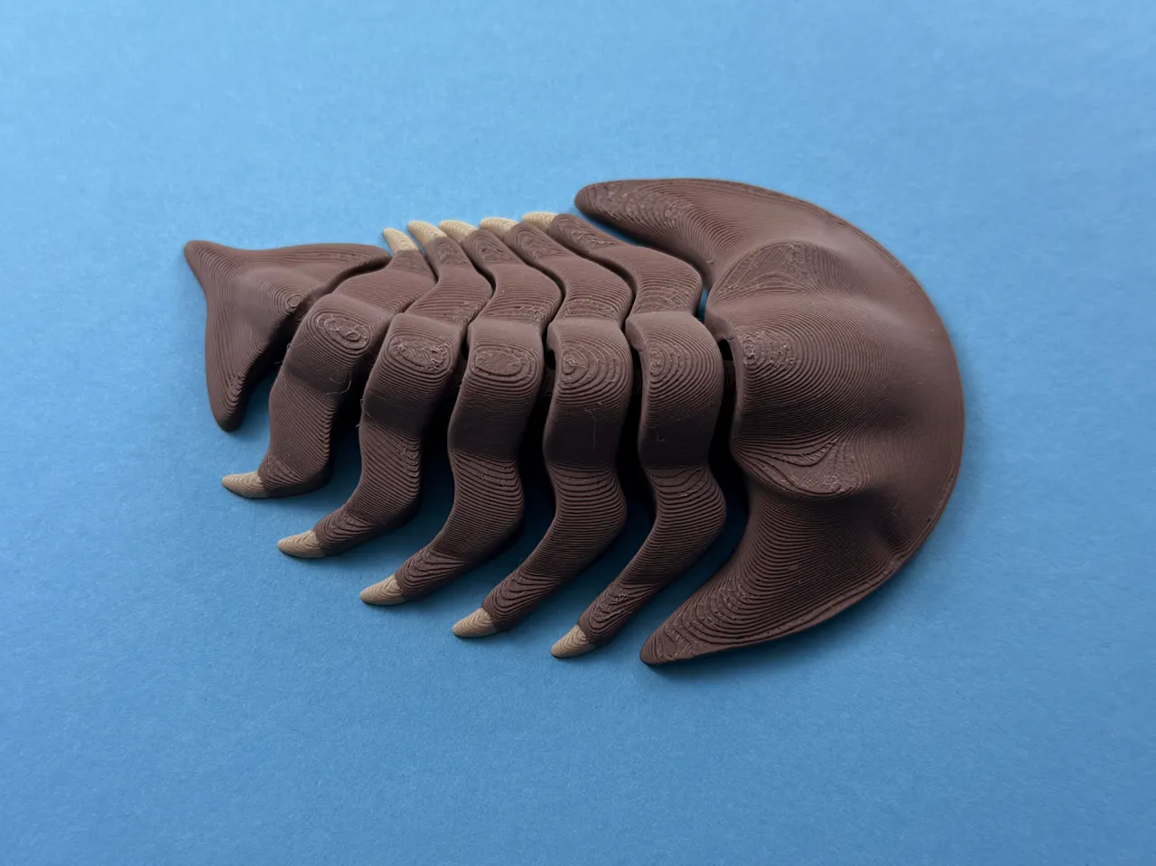 Articulated Trilobite view 3