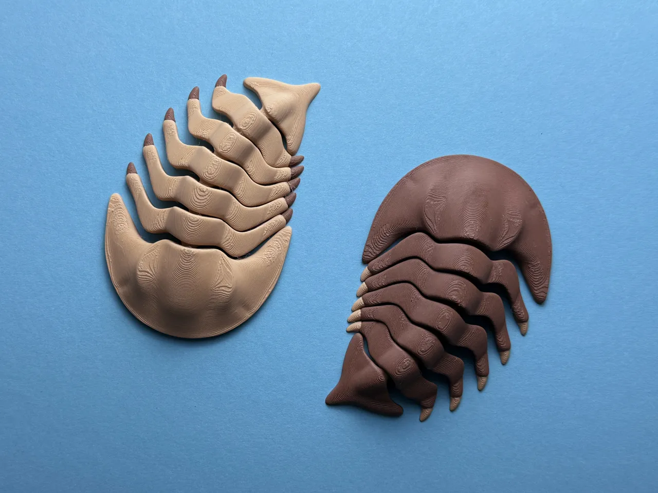Articulated Trilobite view 2