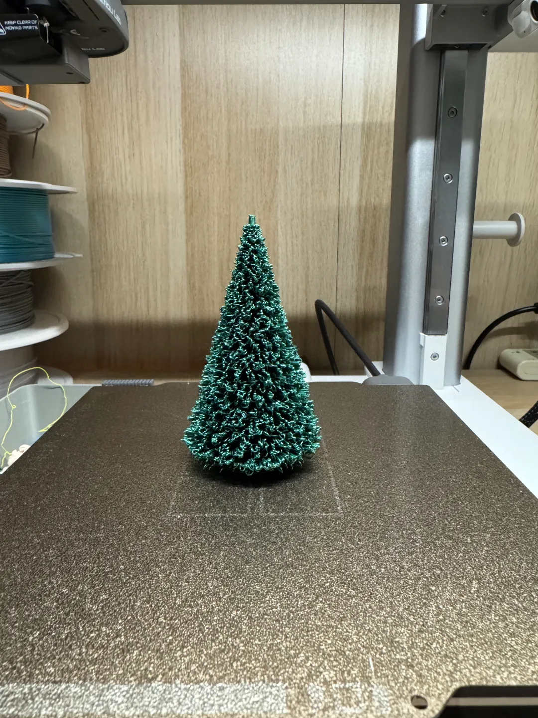 Christmas Trees view 4