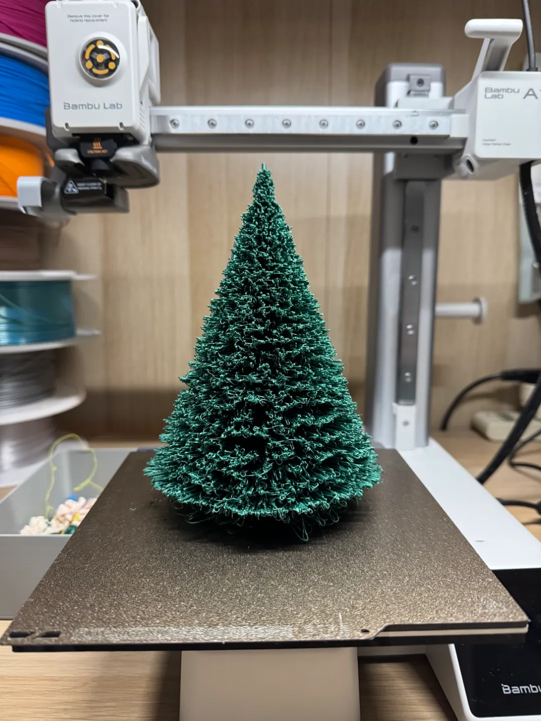 Christmas Trees view 2