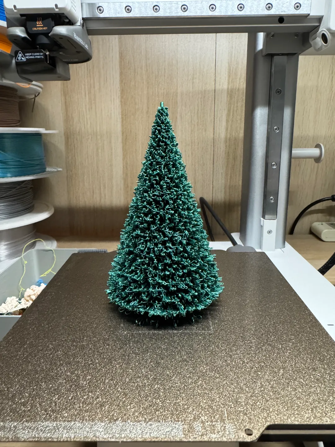 Christmas Trees view 3