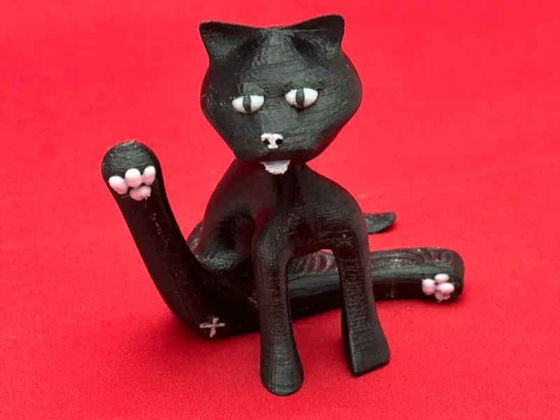Cat interupted
