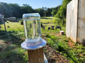 Bee Water Station wide mouth jar