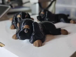 Flexi Cocker Spaniel