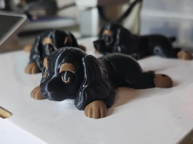 Flexi Cocker Spaniel